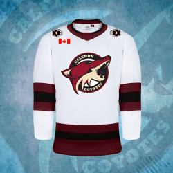 Coyotes Jersey Home