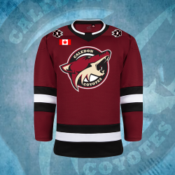 Coyotes Jersey Away