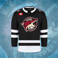 Coyotes 3rd Jersey